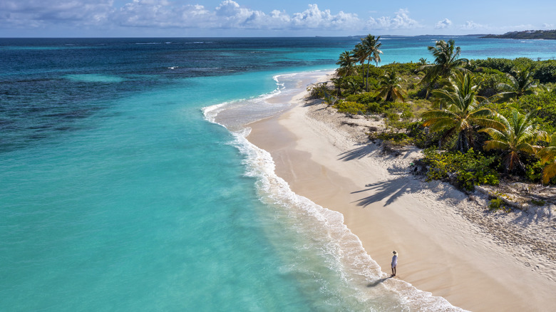 An island shore in the Caribbean