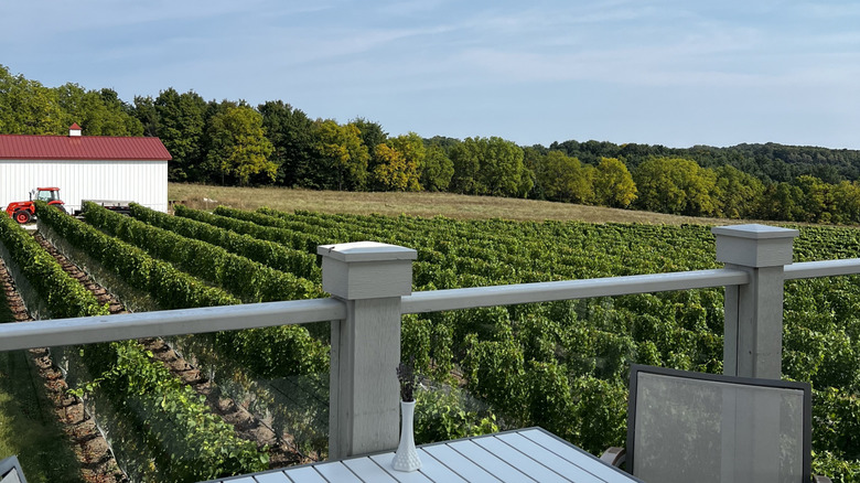 Viewing point in Michigan vineyard