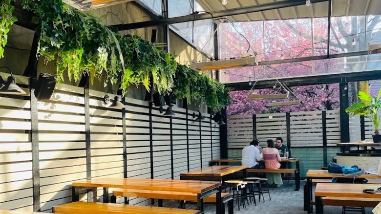 Patio with sunlight filtering in at The Bonnie in Astoria, Queens