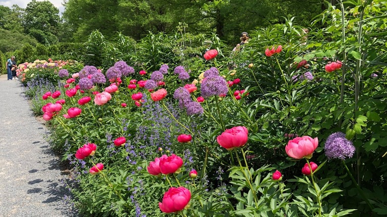 Longwood Botanical Gardens fountains and manicured lawn in Kennett Square, Pennsylvania