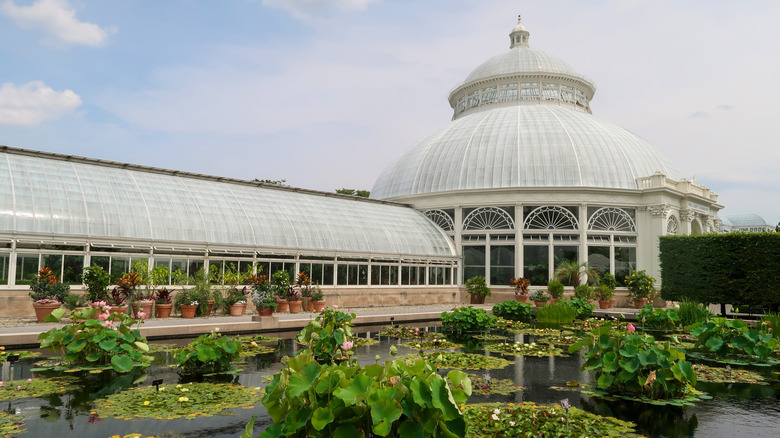 Conservatory with lily pond at the New York Botanical Garden