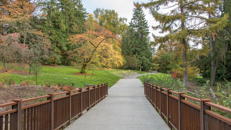 University of Washington Botanic Garden path lined with brown fencing