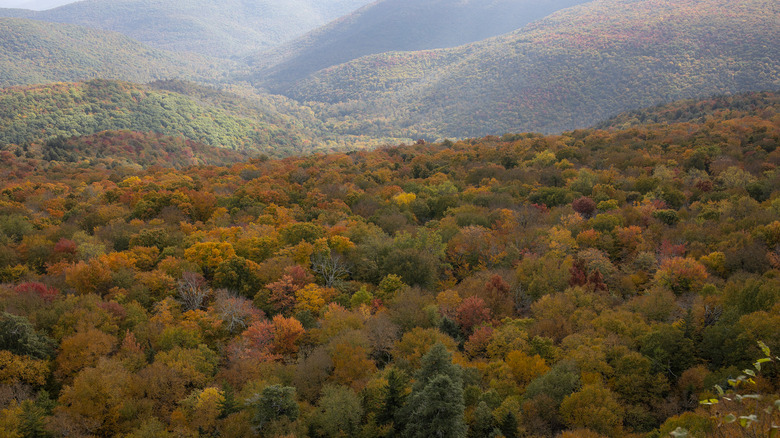 rolling catskill mountains autumn