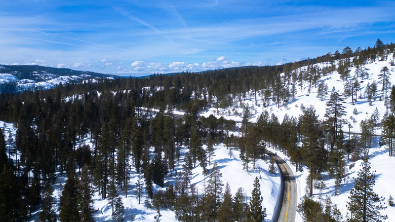 Aerial view of Spicer SNO-Park beside Highway 4 with heavy snowfall among tall trees.
