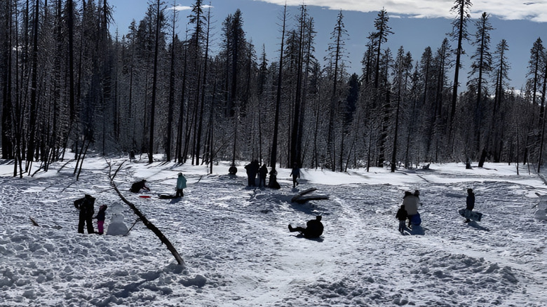 People among the snow and trees in Tamarack SNO-Park