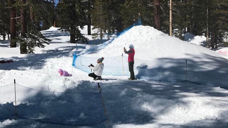 A family playing in the snow in Woolly's Adventure Summit