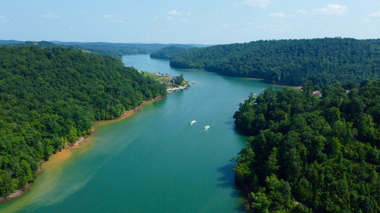 Tennessee's Norris Lake surrounded by trees