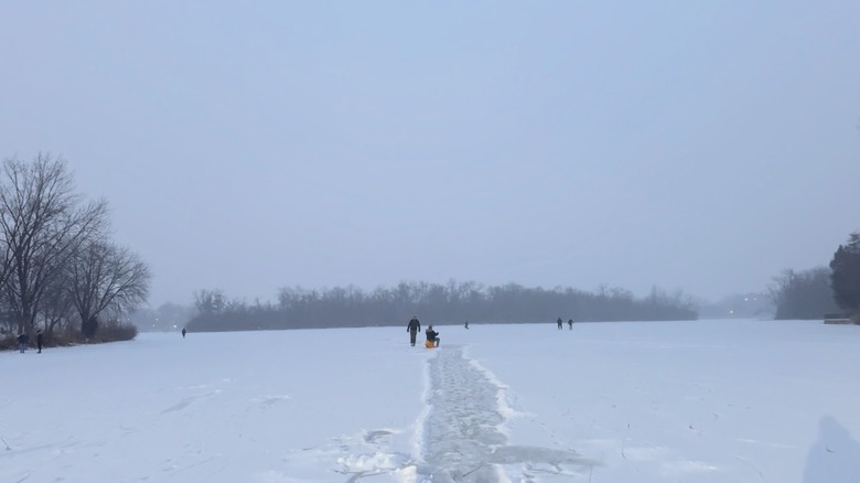 Skaters on a snow day at Lake of the Isles