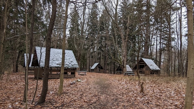 Abandoned girl scout camp in Camp Beechwood State Park