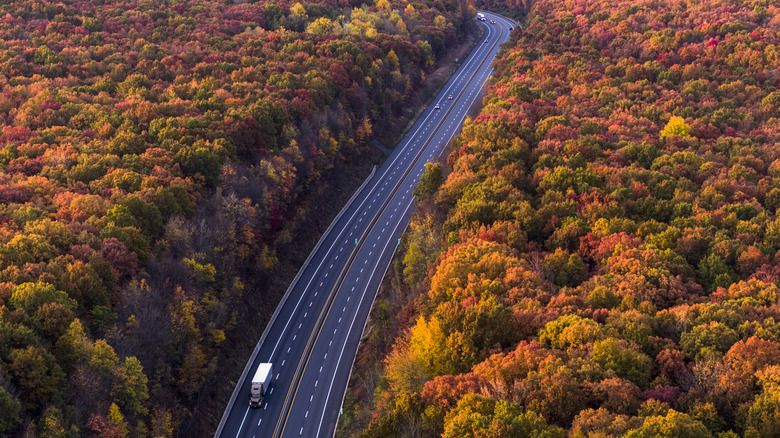 A road running through the wooded Pocono Mountains