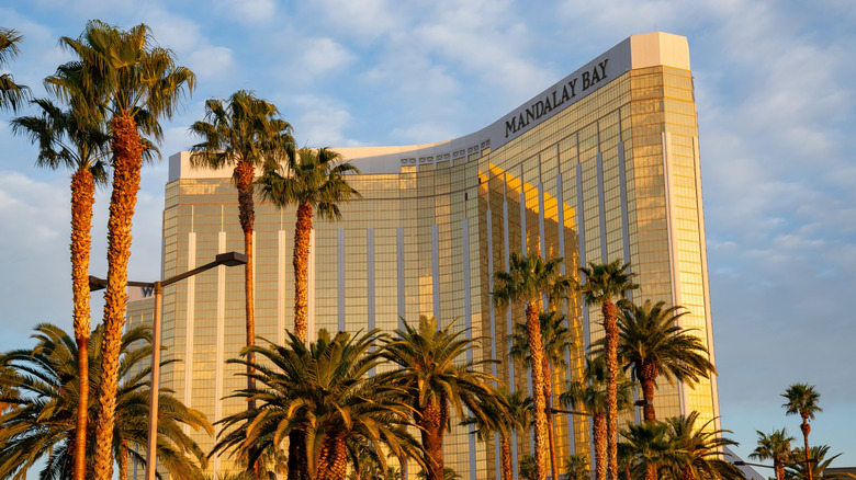 Mandalay Bay resort in Las Vegas, framed by palm trees in warm golden-hour light