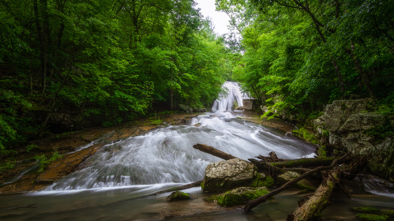 Roaring Run Falls on gloomy, misty late Spring morning in Allegheny County, Virginia