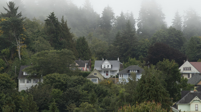 A town in the Pacific Northwest region