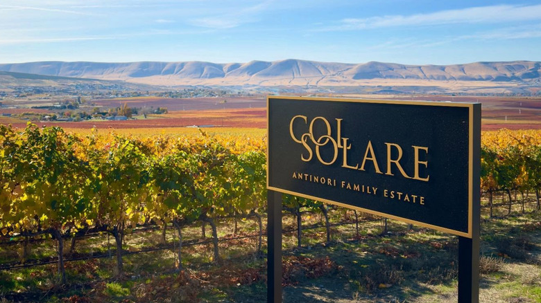 The vineyards and entrance sign of Col Solare Winery in Washington State