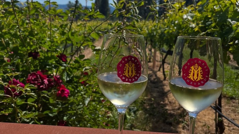 Aerial view of Marchesi tasting room, patio, parking lot, and vineyard
