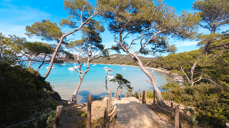 A wooden walkway leading to a beach in Porquerolles, France