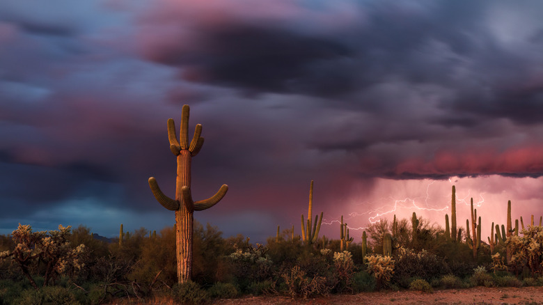 Stormy sky with lightning and a thunderstorm in the Sonoran Desert near Florence, Arizona, USA.