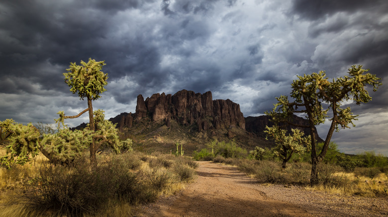 a stormy afternoon in the desert of Arizona, USA, at Lost Dutchman State Park's Siphon draw trail