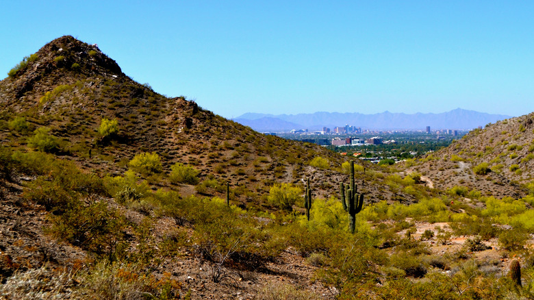 The Freedom Trail along the Piestewa Peak Summit Trail in Phoenix Mountain Preserve outside of Phoenix, AZ