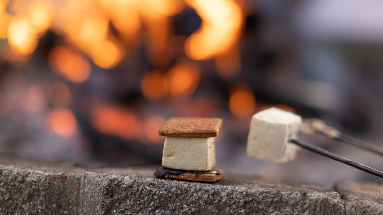 s'more and marshmallow on a stick next to roaring campfire