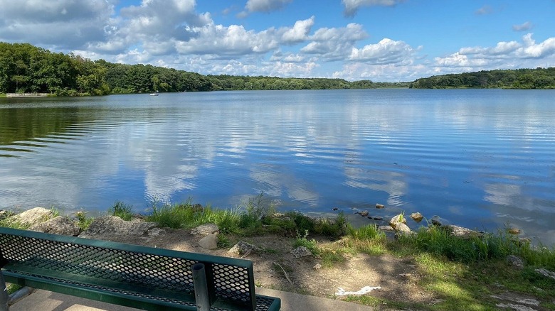 Forest surrounding calm, clear lake at Rock Cut State Park, Illinois
