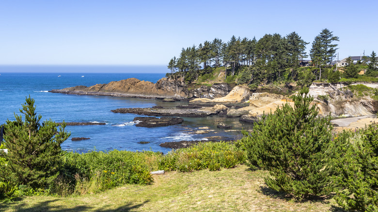 The Oregon coastline