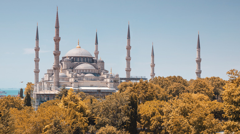 Istanbul's Blue Mosque behind autumn foliage