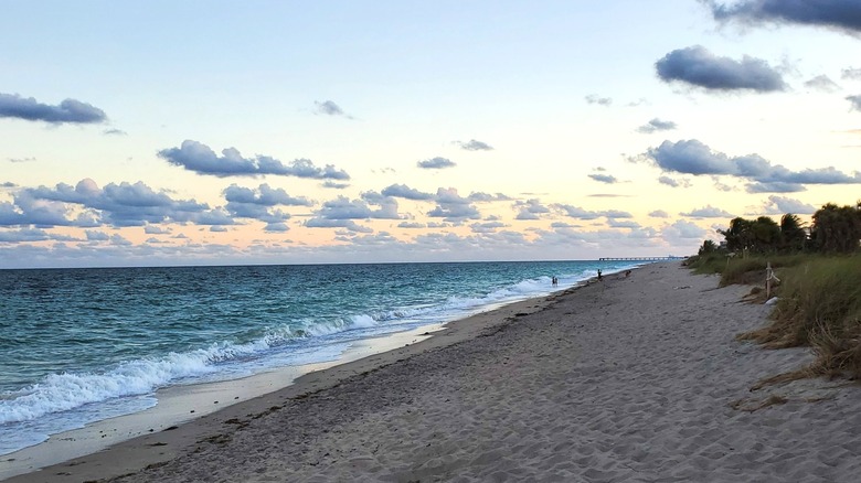 Beach at sunset at Dr. Von D. Mizell-Eula Johnson State Park in Dania Beach, Florida