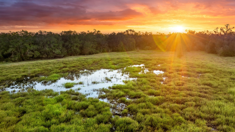 Everglades National Park in Florida
