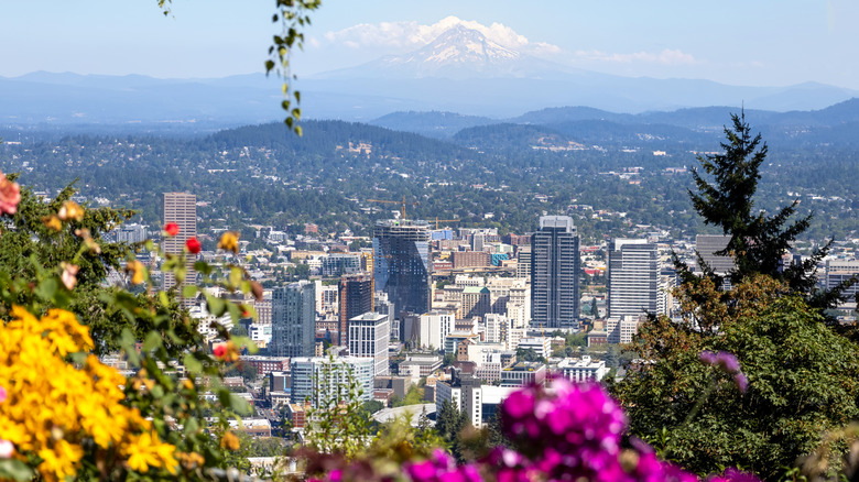 view of portland oregon from the rose garden