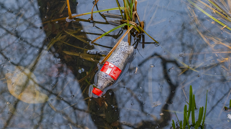 A bottle of Coca-Cola floating on a lake's surface