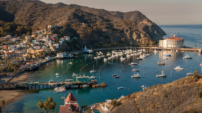 Boats in Avalon Bay on Catalina Island, California