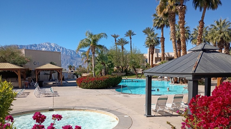 Hot spring pools with palm trees and mountains Miracle Springs Resort & Spa