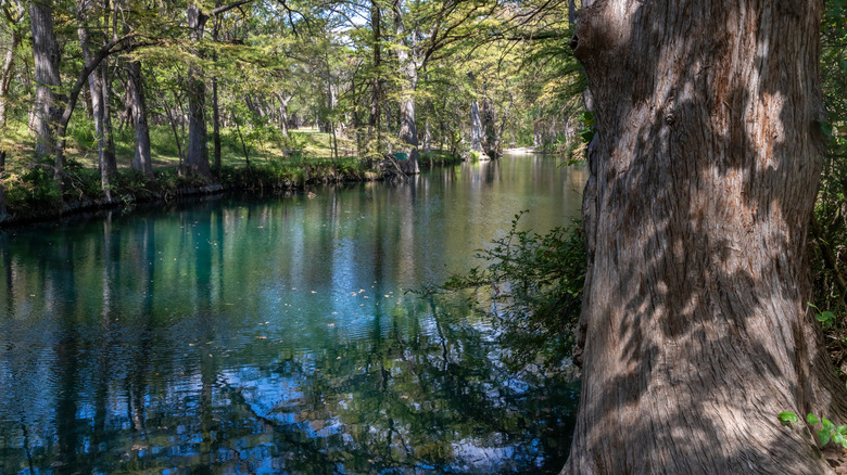 A tree-lined river in Wimberley, Texas