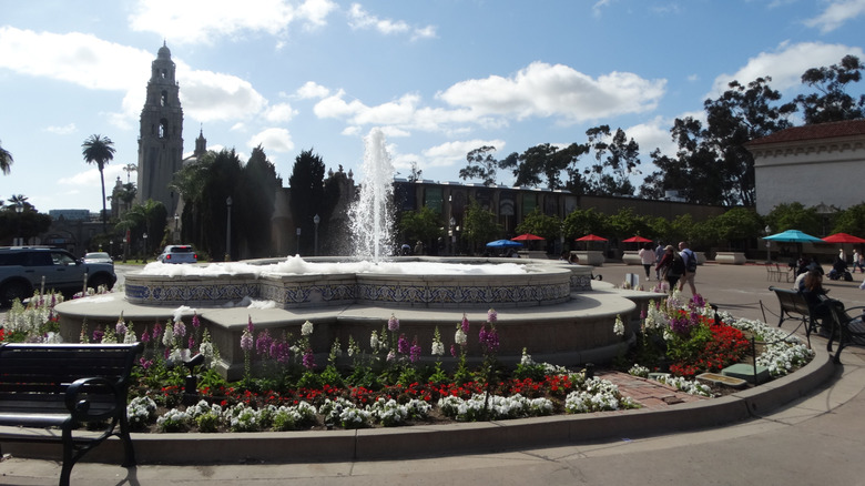 The main loop within Balboa Park with view of fountain and landscaping
