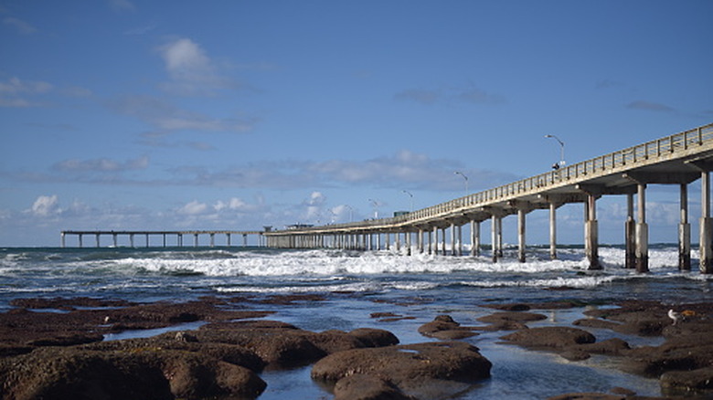 Ocean Beach Pier and the corresponding tide pools