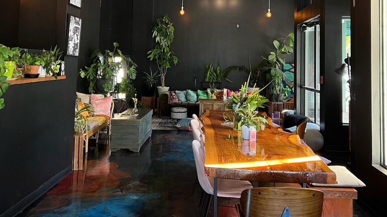 The vibrant plant-filled interior of Mariposa Coffee Bar