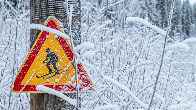 a sign indicating the presence of skiers on a pole in a snowy landscape