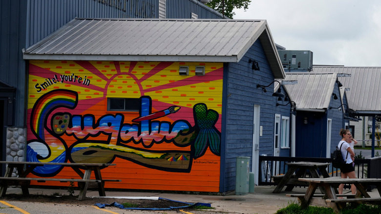 A picture of Saugatuck's most popular mural