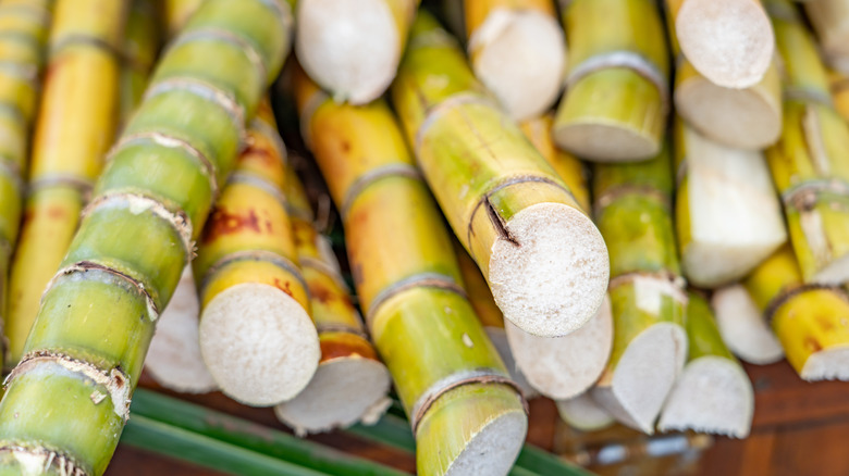 A close-up view of fresh cut Hawaiian sugarcane