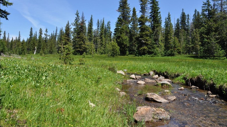 Boulder Lake in Mt. Hood National Forest