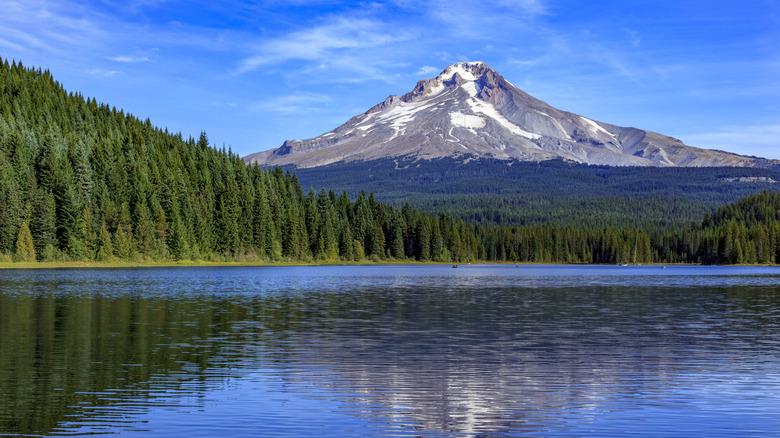Mt. Hood reflected in Trillium Lake in Mt. Hood National Forest on a clear day