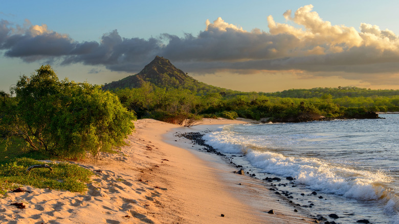 Dragon Hill on the island of Santa Cruz, Galapagos, Ecuador