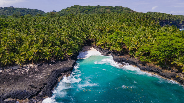View of the lava rocks and palm forests of São Tomé and Príncipe's coast