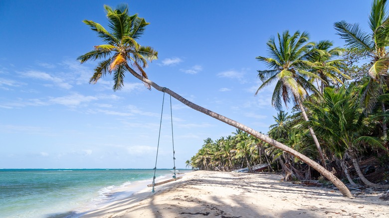 Rope bridge from a palm tree in Big Corn Island, Nicaragua