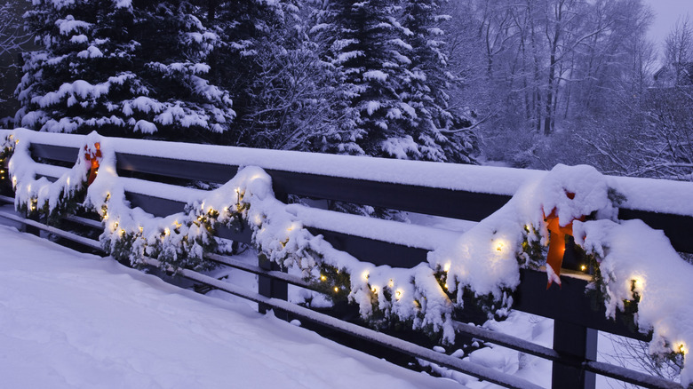 Holiday lights on a snow-covered fence
