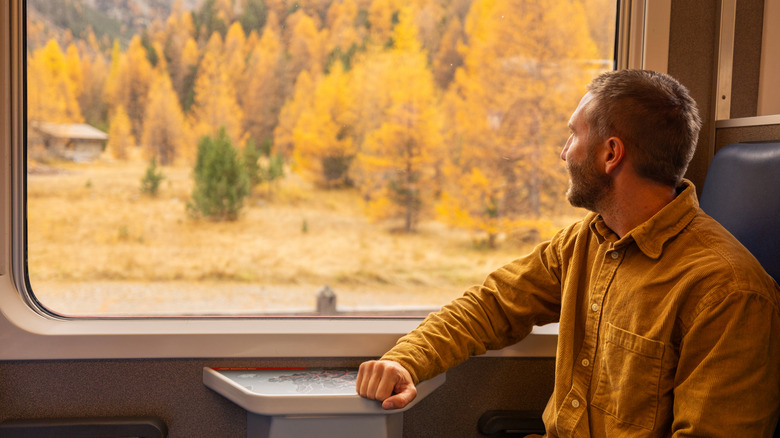 Man looking out the window on a scenic train ride