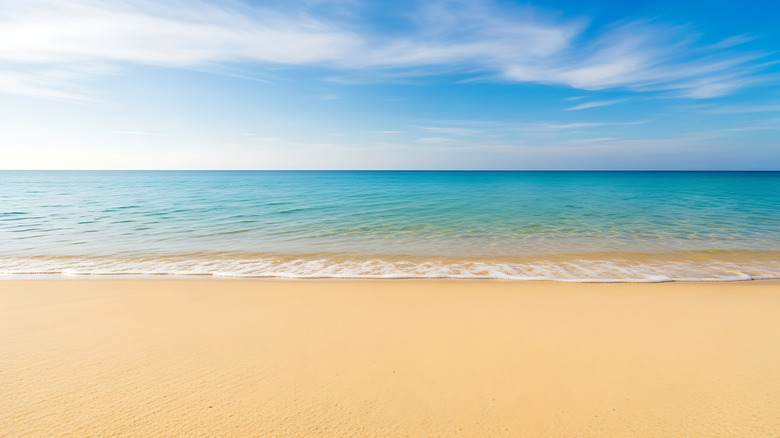 A closeup of sand on a beach with water and sky.