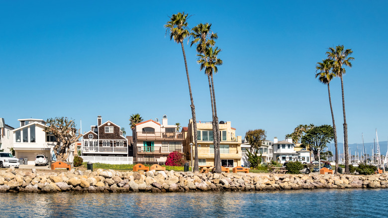 Beach homes and palm trees on rock lined jetty.