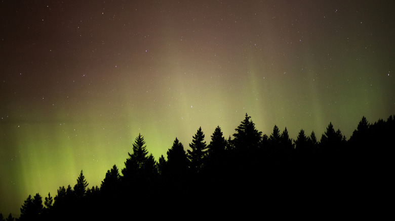 The northern lights near Lake Cle Elum, Washington